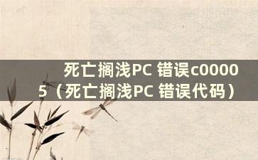 死亡搁浅PC 错误c00005（死亡搁浅PC 错误代码）